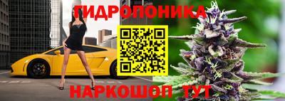 индика Донецк