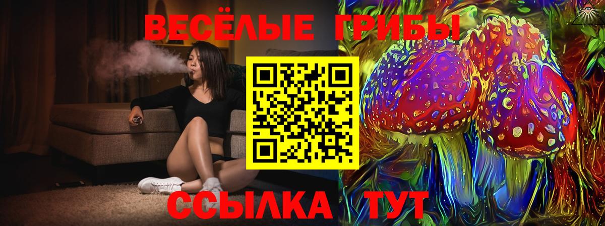 Псилоцибиновые грибы прущие грибы  Вход с VPN  Галлюциногенные грибы GOLDEN TEACHER  Междуреченск 